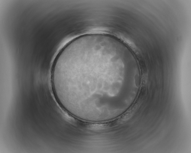 X0000116031470200911271126