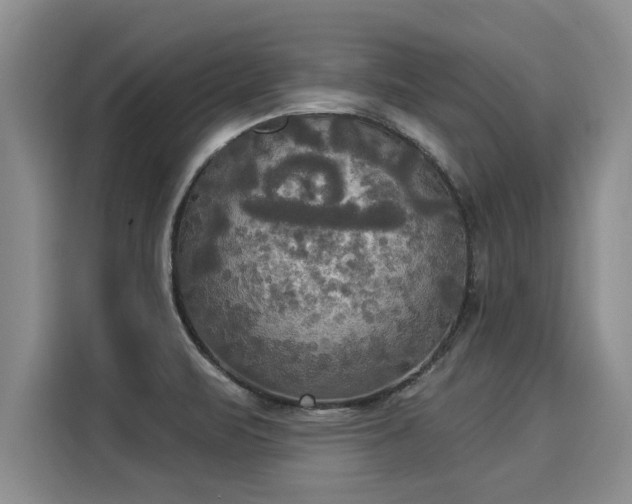 X0000116031471200911271126