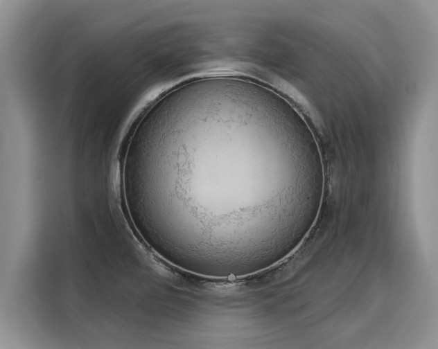 X0000116031472200911271126