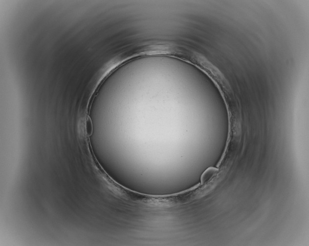 X0000116031473200911271126