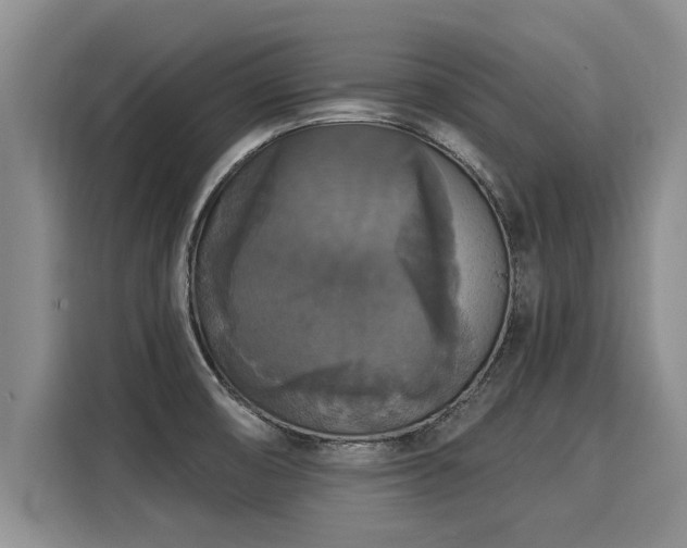 X0000116031474200911271126