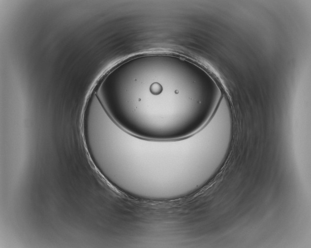 X0000116031480200911271126