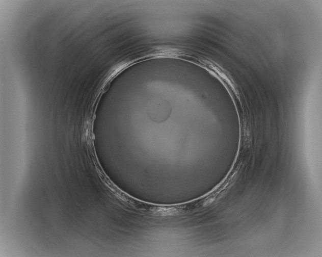 X0000116031481200911271126