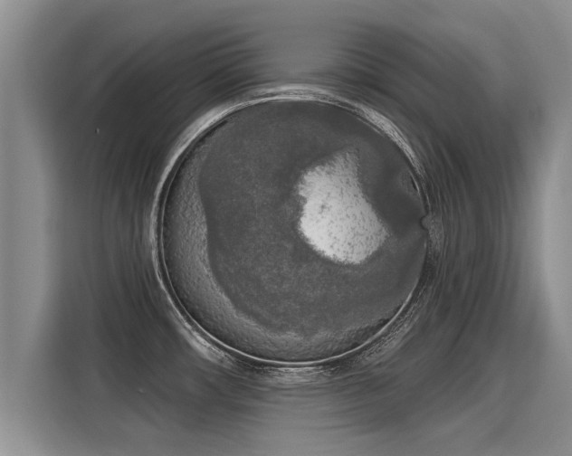 X0000116031482200911271126