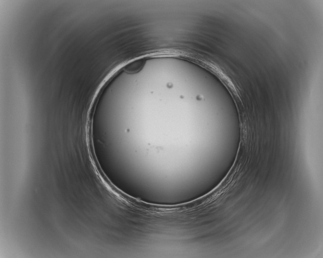 X0000116031484200911271126