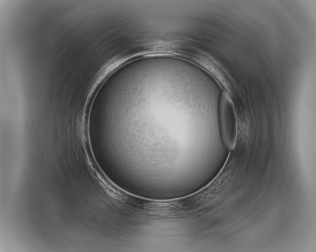X0000116031485200911271126