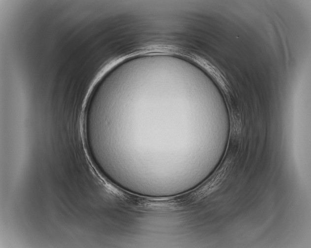 X0000116031486200911271126