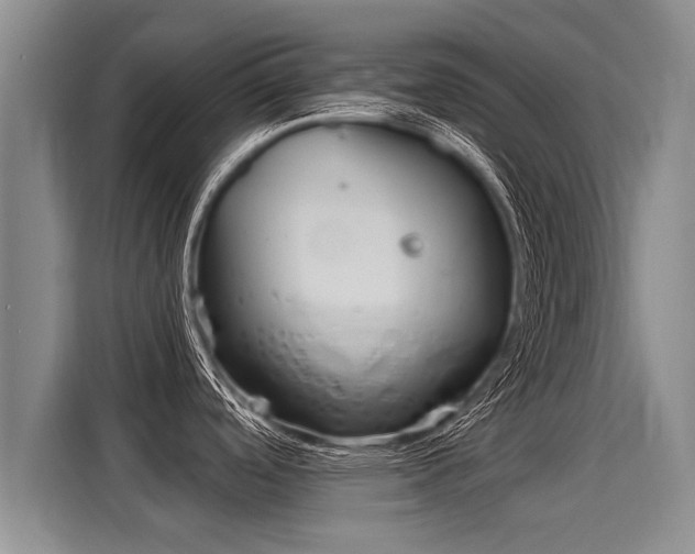 X0000116031488200911271126