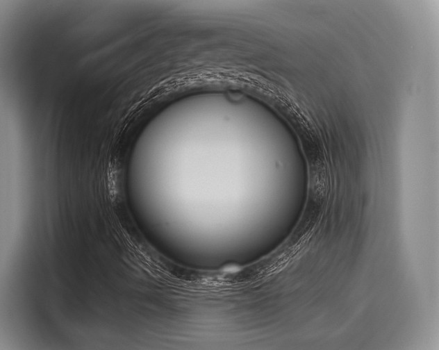 X0000116031490200911271125
