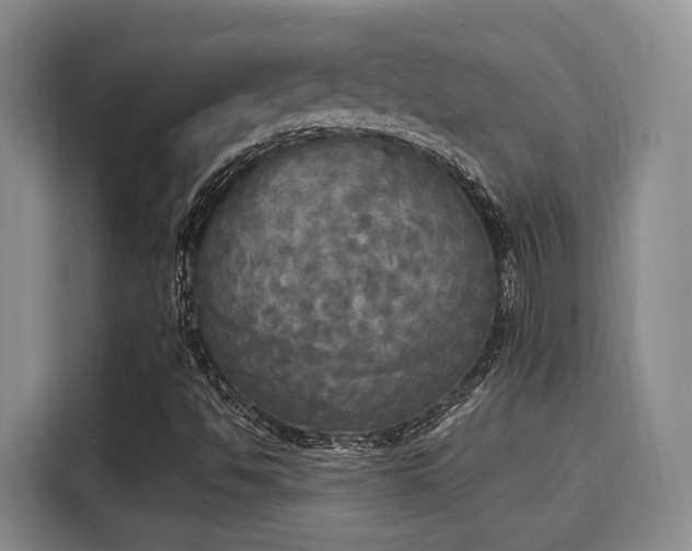 X0000116031494200911271125