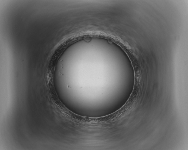 X0000116031495200911271125