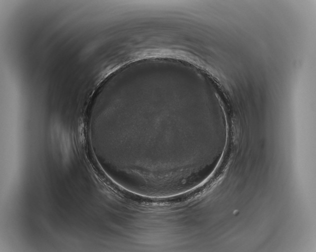 X0000116031497200911271125