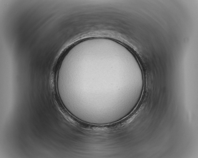 X0000116031498200911271125