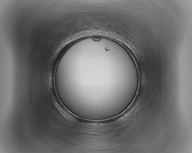 X0000116031499200911271125