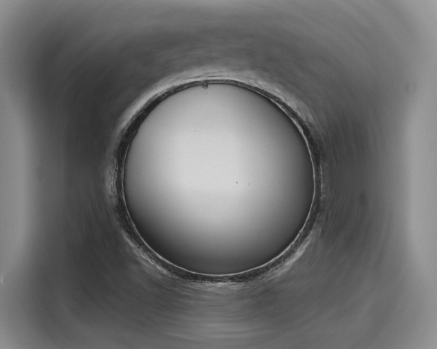 X0000116031502200911271125