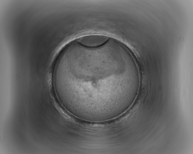 X0000116031503200911271125