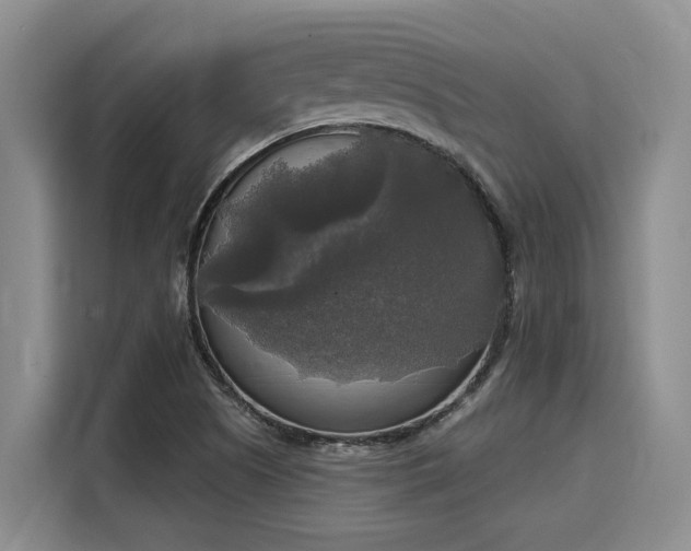 X0000116031505200911271125