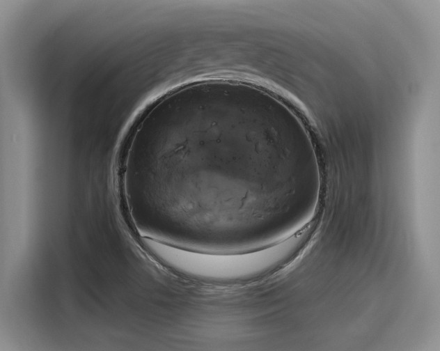 X0000116031506200911271125