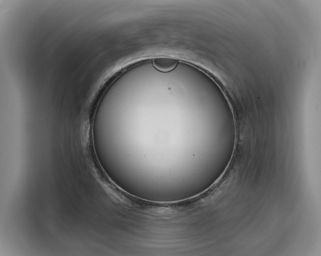 X0000116031507200911271125