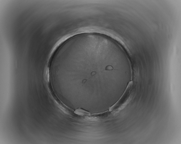 X0000116031509200911271125