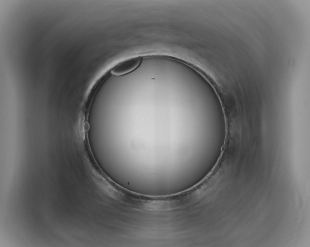 X0000116031510200911271125