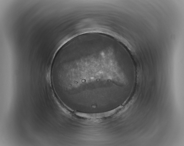 X0000116031513200911271125