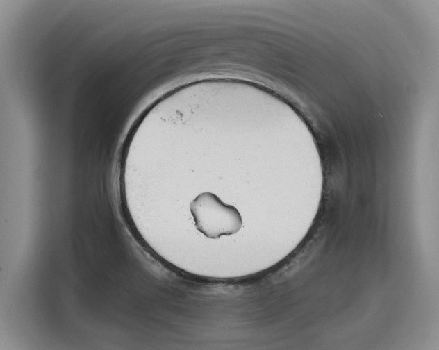 X0000116031514200911271125