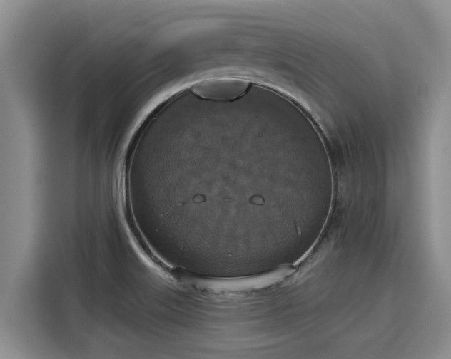 X0000116031515200911271125
