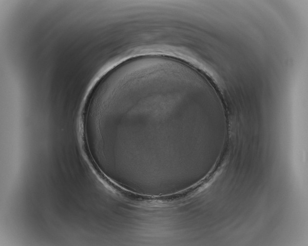 X0000116031517200911271126