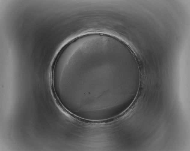 X0000116031519200911271126