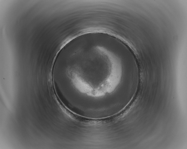 X0000116031521200911271126