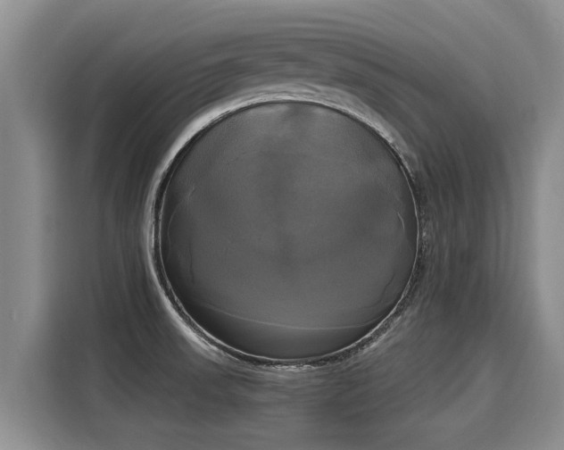 X0000116031523200911271126