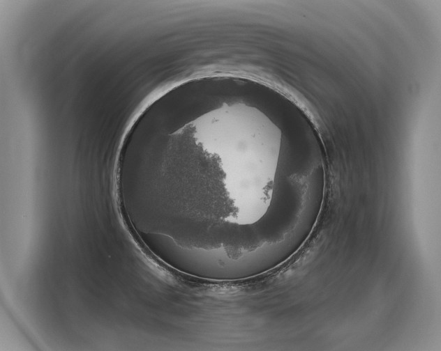 X0000116031525200911271126