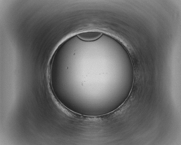 X0000116031526200911271126
