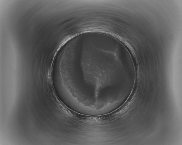 X0000116031529200911271126