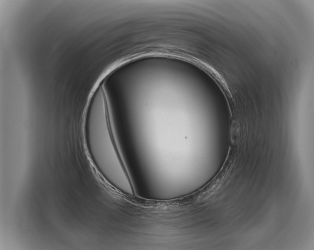 X0000116031530200911271126