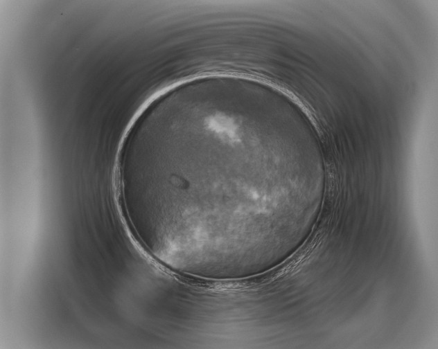 X0000116031531200911271126