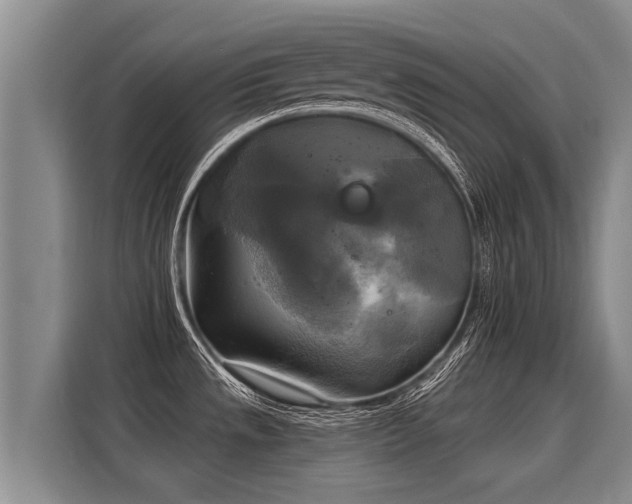 X0000116031533200911271126