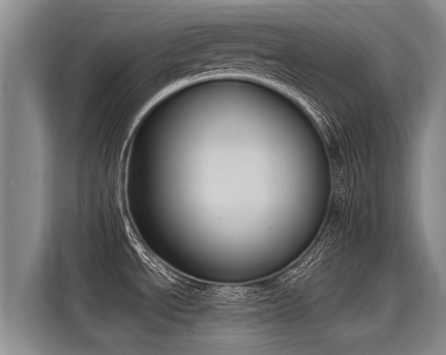 X0000116031534200911271126