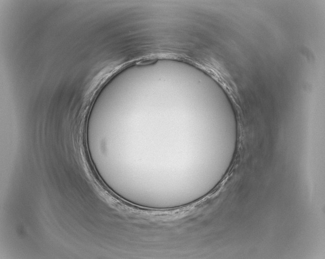 X0000116030001200912041944