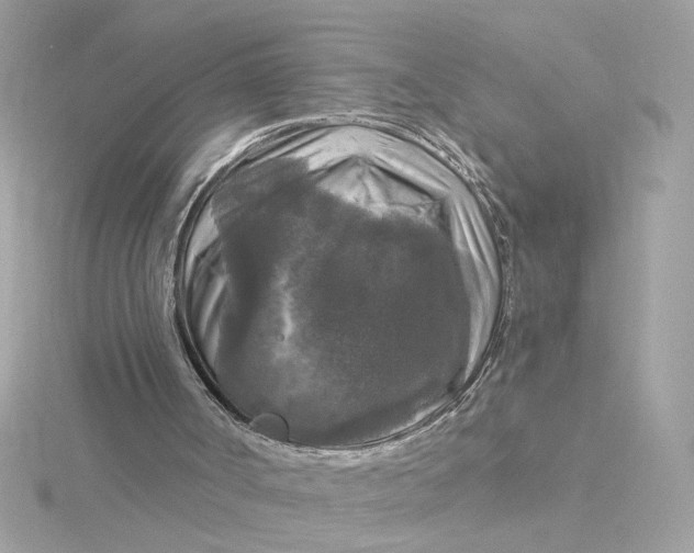 X0000116030002200912041944