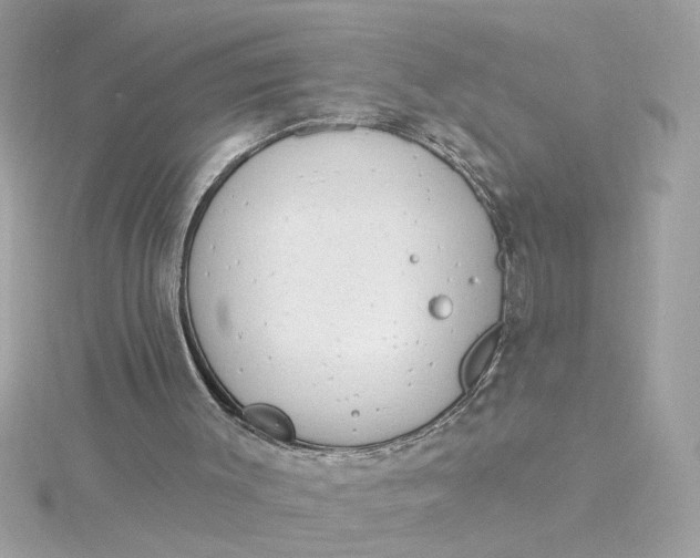 X0000116030003200912041944