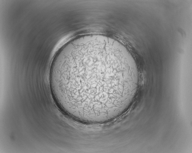 X0000116030004200912041944