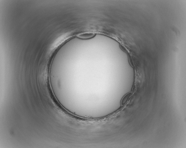 X0000116030005200912041944