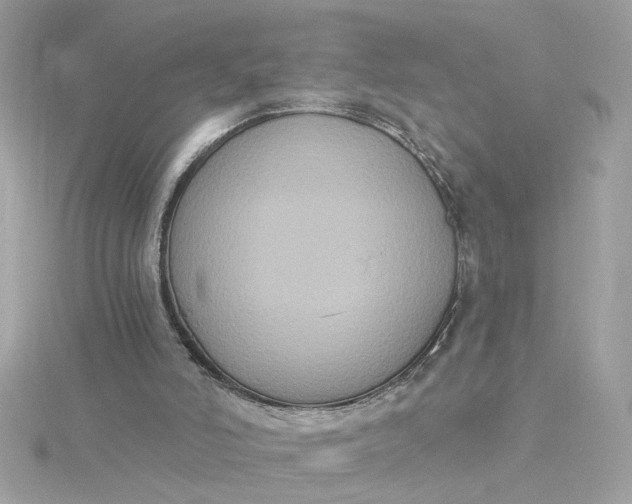 X0000116030006200912041944