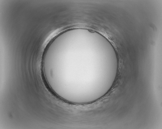 X0000116030007200912041944