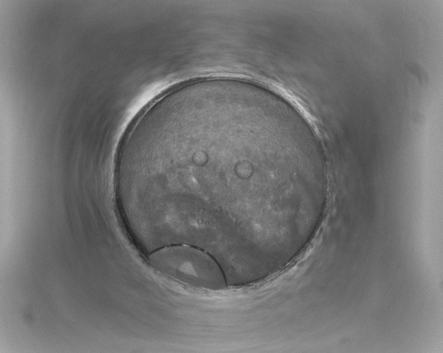 X0000116030008200912041944