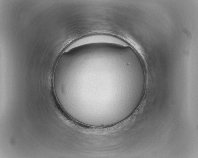 X0000116030009200912041944