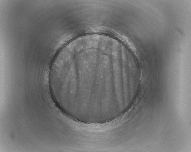 X0000116030010200912041944