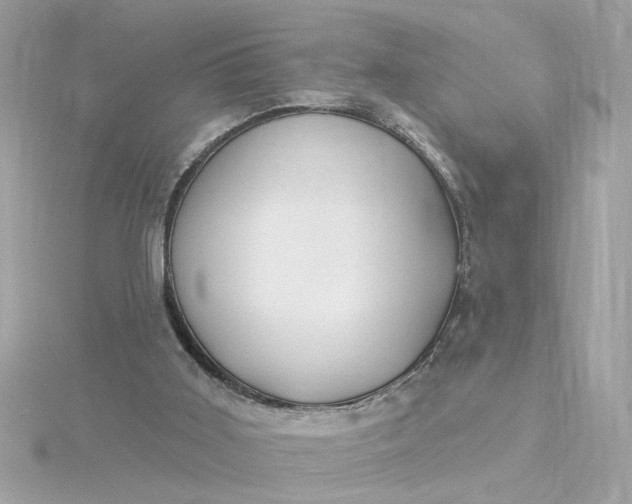 X0000116030011200912041944